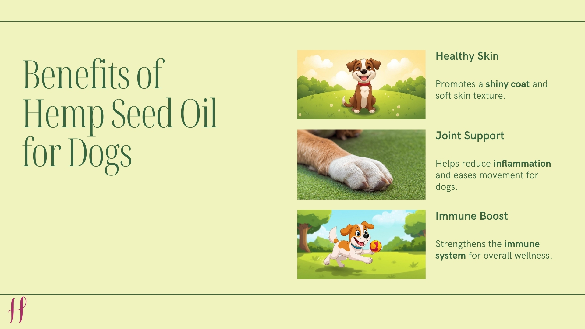 Benefits of hemp seed oil for dogs: healthy skin, joint support, and immune boost.
